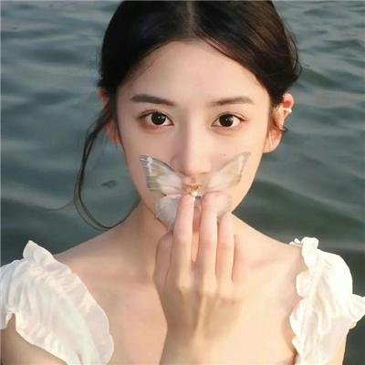 港湾第二季