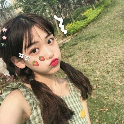 职业大贼