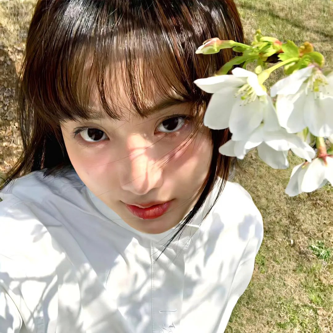 玫瑰舞后